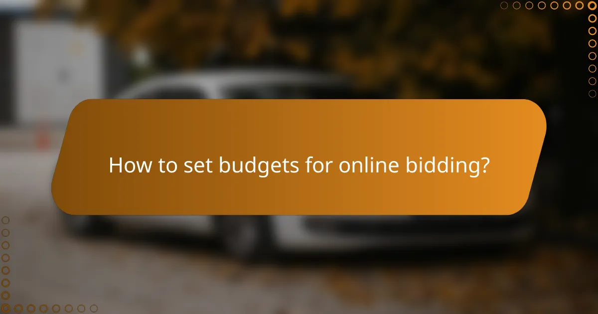 How to set budgets for online bidding?